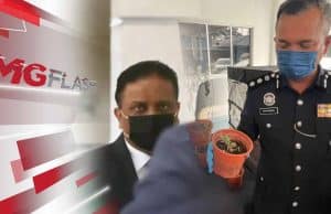 Pertemuan Menteri UMNO Hanya Untuk Sarapan Pagi. Selebriti Tanam Ganja #MGFlash