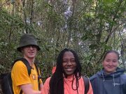 Tiga termasuk warga Perancis daki gunung di Cameron Highlands dikhuatiri sesat