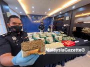 Polis rampas ganja lebih 163 kg, tahan 9 suspek