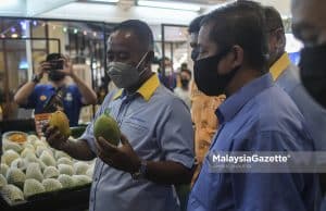 Karnival JTDL Harumanis Perlis 2022
