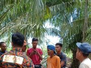 Warga emas dilaporkan hilang ketika cari daun palas munculkan diri