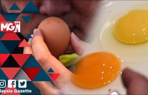 MGNews: Telur Palsu? Jangan Panik! Tunggu Keputusan Ujian Kimia – Pengarah KPDNHEP KL