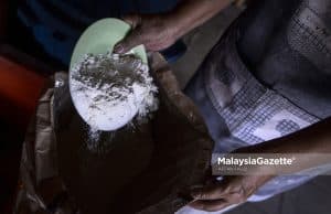 wheat flour India export ban KPDNHEP