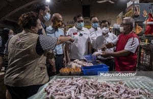 Henti eksport ayam, kerajaan buat keputusan tergesa-gesa – Anthony