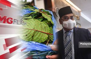 Ahli Parlimen Pasir Salak Dilantik Duta Besar Ke Indonesia. K-KOMM Buat Program Perbetul Stigma Ketum #MGFlash