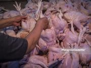 chicken ceiling price subsidy