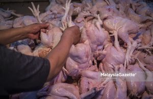 chicken ceiling price subsidy