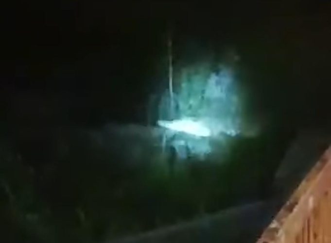 buaya tembaga