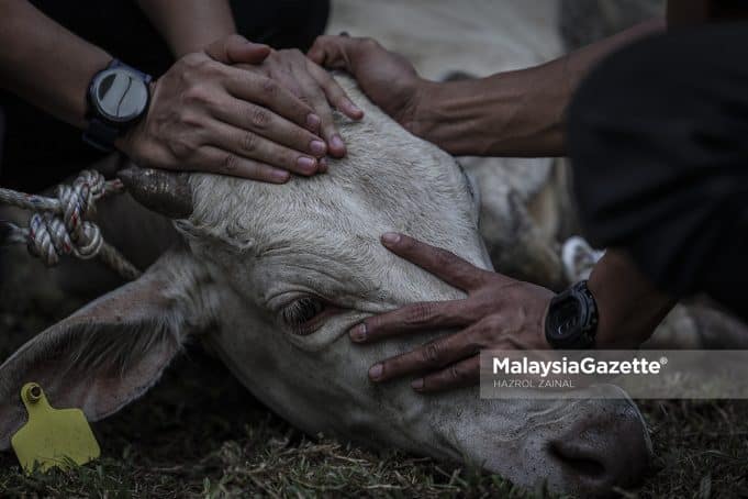 MGF10072022_RAYA KORBAN36