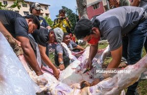Sanggup bercuti demi ibadah korban – Azman Mat Isa