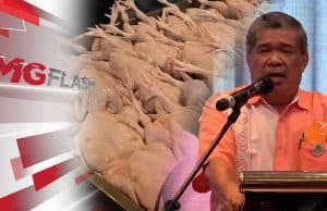 Mat Sabu Rancang Kembali Ke Jalanan. Ajal Sampan Tenggelam #MGFlash