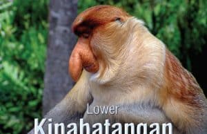 UMS rangkul 2 anugerah pada Majlis Anugerah Buku Negara 2022