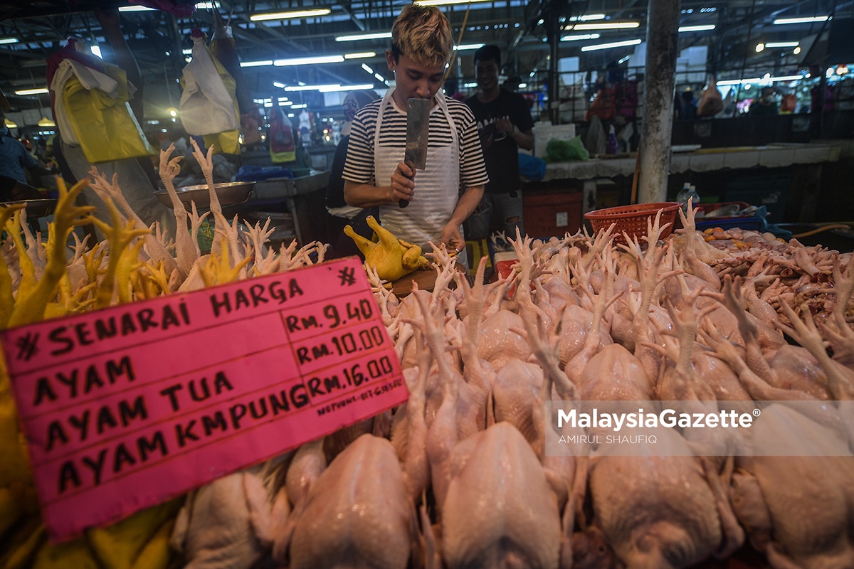 Dasar kawalan harga, subsidi ayam diteruskan sehingga mekanisme bersasar dimuktamadkan