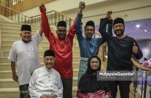 Gabungan Parti-Parti Gagasan Baharu, Tun Mahathir Mohamad