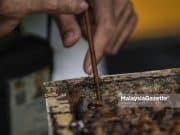 Hanya 7 syarikat peroleh Pensijilan Autentik produk madu dari KKM