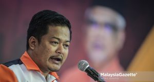hasbie muda pemuda amanah