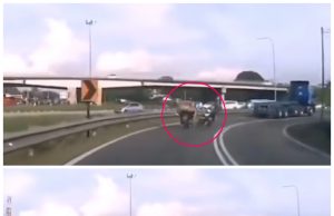 Polis nafi kemalangan berpunca daripada Unit URB