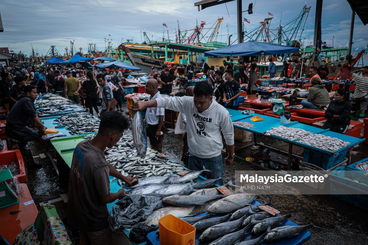 Pasar Safma Kota Kinabalu Lubuk Makanan Laut Dailylife