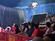 Sasar 30,000 pengunjung Great British Circus
