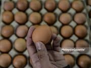CAP gesa kerajaan segera tangani isu telur ayam