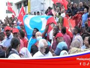 PRU15: Ragam Penyokong PH Sementara Menunggu Anwar Angkat Sumpah