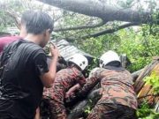 Cuaca buruk: Wanita maut dihempap pokok, air laut melimpah di Sabah