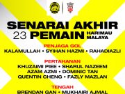 Piala AFF: Lee Tuck, Aguero jadi pilihan Pan Gon