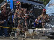 Tanah runtuh: Peranan ‘penghidu mangsa’ K9 secara bergilir