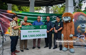 MPOGCF taja RM1.1 juta naik taraf Pameran Orang Utan Borneo