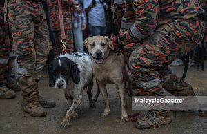 K9 jadi hero namun tidak boleh terlalu fokus jejak mangsa