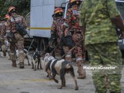 Lapan anjing K9 direhatkan sementara waktu