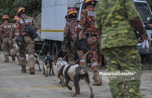 Lapan anjing K9 direhatkan sementara waktu