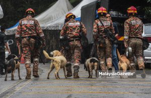 LENSA MG | Hero K9 Selesaikan Misi