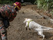 Suasana dan Gelagat Anjing K9 Selepas Operasi Ditamatkan #TanahRuntuh