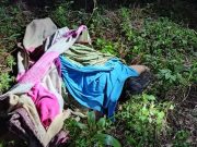 Wanita Orang Asli maut dipijak gajah