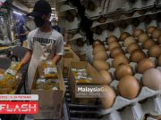 Kerajaan Bakal Import Telur. Sistem Kupon Minyak Masak Paket Mungkin Diperkenalkan #MGFlash