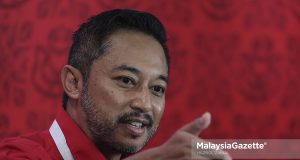 Isham dipecat Hamzah rasuah pengundi UMNO DAP