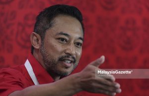 Isham dipecat Hamzah rasuah pengundi UMNO DAP