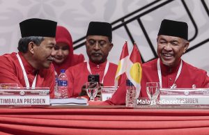 Pemilihan boleh kembalikan imej, reputasi pemimpin UMNO