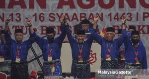 Naib Presiden UMNO