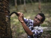 Pasaran getah tidak berubah
