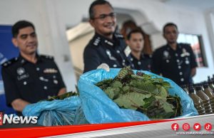 MGNews: Rumah Jadi Pusat Proses Ketum, 5 Suspek Dengan Rekod Jenayah Lampau Direman – IPD PJ