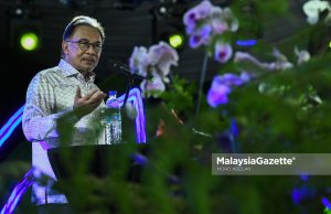 Anwar tidak campur tangan kes Muhyiddin