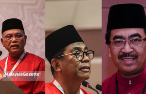 Wan Rosdy, Khaled, Johari dipilih Naib Presiden UMNO