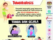 Penyakit tibi cecah rekod tertinggi – WHO