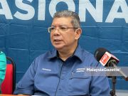 Saifuddin saran pinda Perlembagaan Persekutuan
