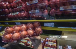 Bekalan ayam stabil walaupun subsidi dikurangkan – Mat Sabu