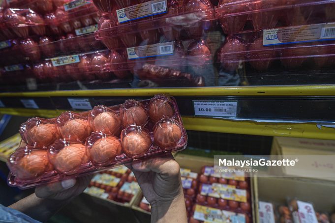 MGF29112022_TINJAUAN BEKALAN TELUR08