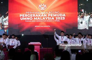 Pemuda UMNO DAP