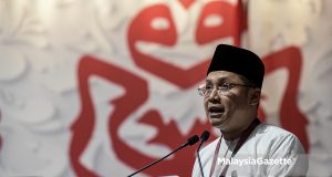 jurucakap UMNO